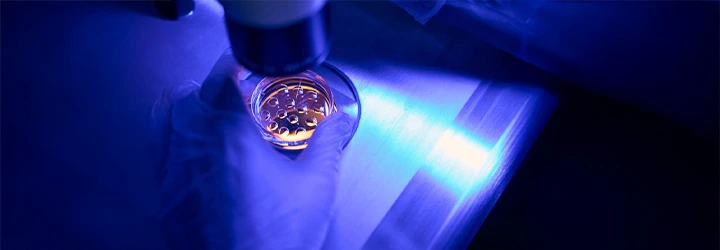 Blastokist Transferi Kıbrıs IVF