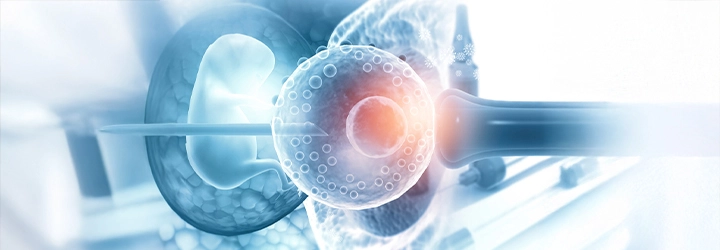 Embriyo Glue Kıbrıs