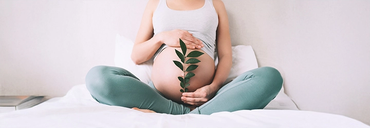 Mikro Çipli Tüp Bebek