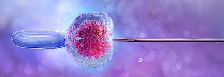 Embriyo donasyonu nakli kıbrıs